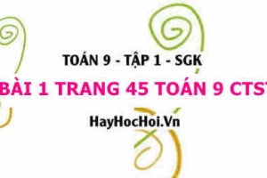 Bài 1 trang 45 Toán 9 tập 1 Chân trời sáng tạo